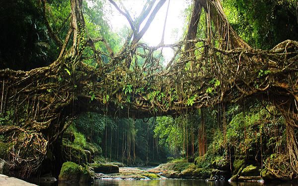 1467704127_2shilong 3.jpg